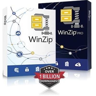 WinZip 22 Pro ML DVD