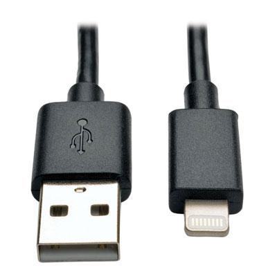 10"" Lightning USB Cbl Blk 10pc