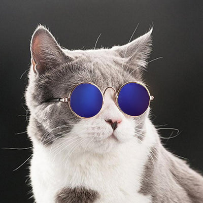 Hoomall Lovely Pet Cat Glasses Dog Glasses Pet Products For Little Dog Cat Eye-wear Dog Sunglasses Photos Pet Gadgets