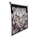 120"" Manual Pull Down Screen