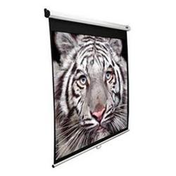 120"" Manual Pull Down Screen