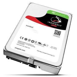 1tb Seagate Ironwolf Single Pk